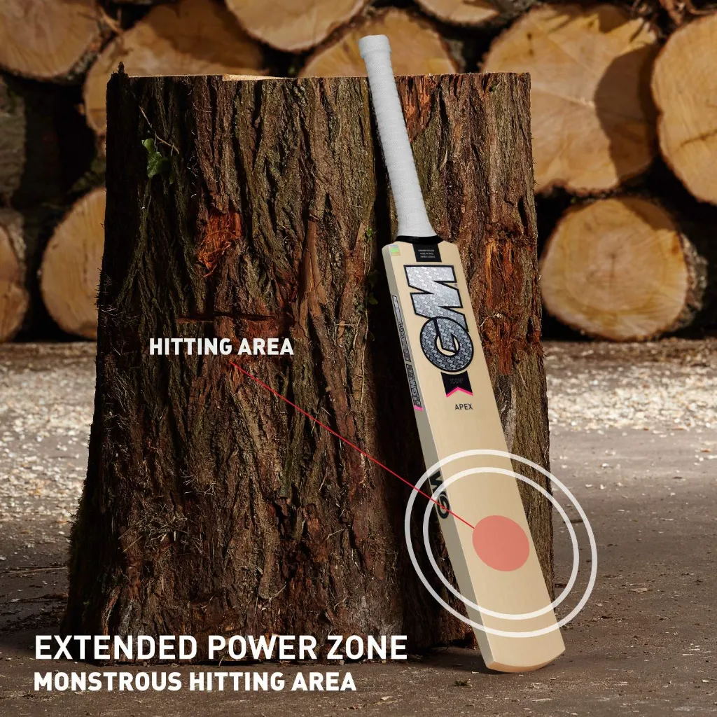 icon-apex-kashmir-willow-cricket-bat-1_1.webp