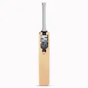 GM-kashmir-willow-cricket-bat_1.webp